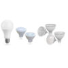 AC/DC LED Bulb Light