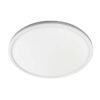 Luna LED Ceiling Light